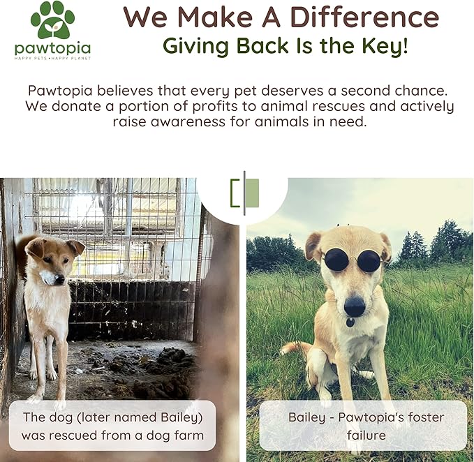 Pawtria Certified Home Compostable Dog Poop Bags (480), Value pack, Biodegradable Poop Bags, Cat Litter, Vegetable Starches, Eco-friendly Dog Waste Bags, Leak proof, Easy to Open, Give Back