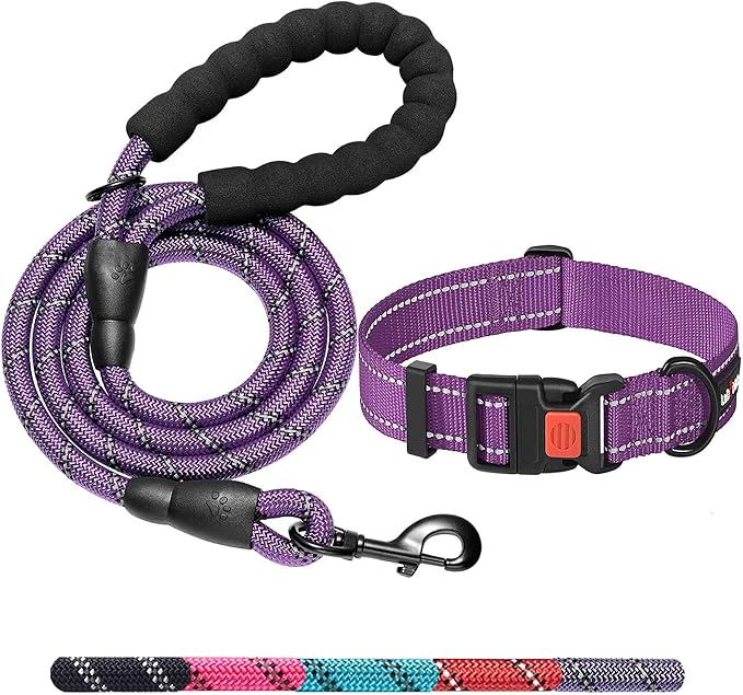 Heavy Duty Dog Leash - Comfortable Padded Handle, 5 ft Long - Dog Leashes for Small Medium Large Dogs (Leash+Collar XS Neck 10.5"-13.5", Purple)