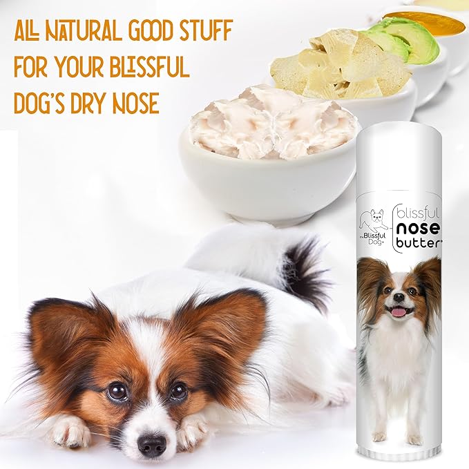 The Blissful Dog Papillon Nose Butter for Dry, Cracked Skin, Lick-Safe Dog Nose Balm with Moisturizing Shea Butter, Almond, Olive, and Essential Oils, Pet Supplies, Uncented, 0.50 oz.