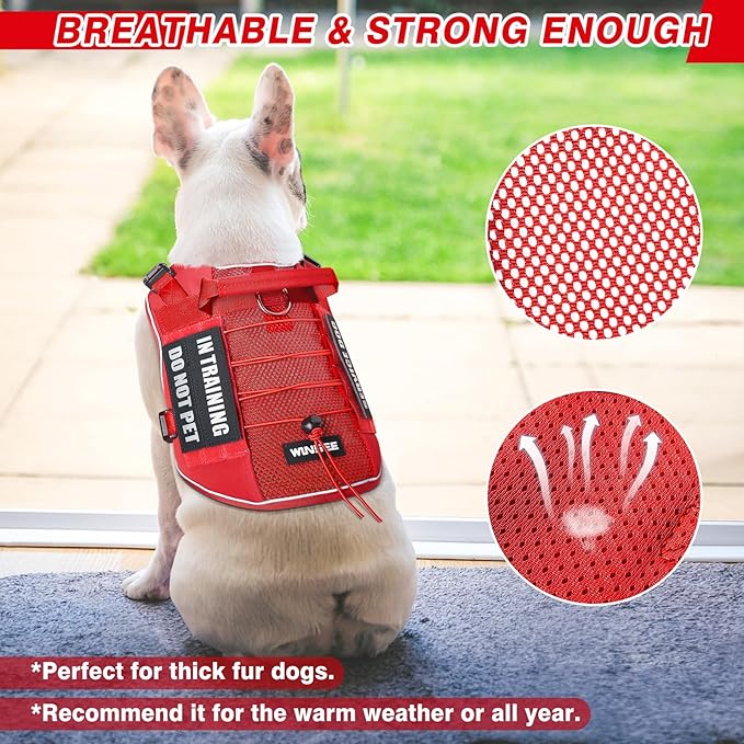 WINSEE Service Dog in Training Mesh Harness with 10 Pet Patches, Soft Air Mesh Breathable Tactical Dog Molle Vest, Reflective Military Pet Vest for Walking Hiking for Small Dogs