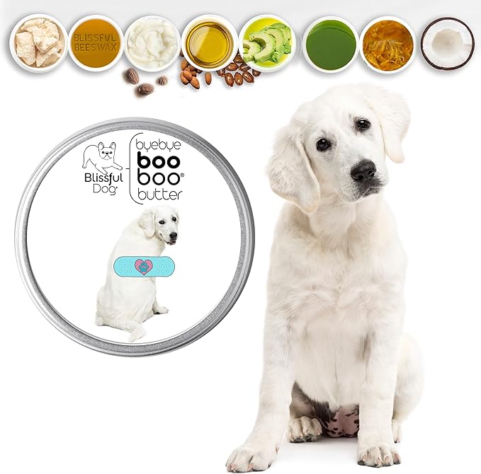 The Blissful Dog Kuvasz Boo Boo Butter, 16 Ounce