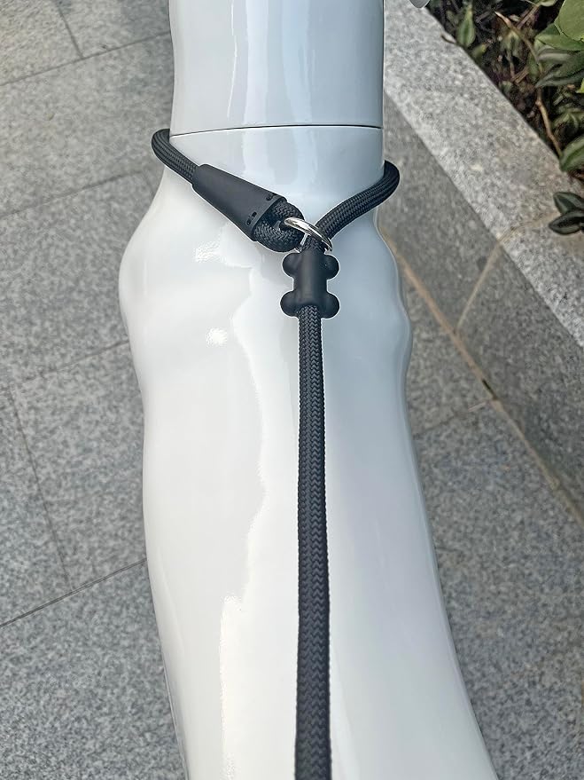 Slip Lead Dog Leash，Strong Nylon Rope Leash and Padded Handle,No Pull Outdoor Walking Training Lead for Small Medium Large Dogs(Black, 1/2"×4ft)