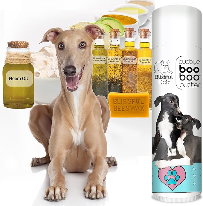 The Blissful Dog Greyhound Boo Boo Butter, 0.50-Ounce