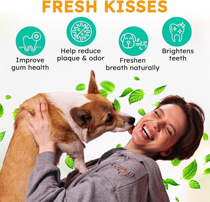 Dog Teeth Cleaning Powder - Dog Breath Freshener + Dental Care for Doggies & Cats + Tartar Remover for Teeth with Natural Ingredients + Probiotics Blend (Mint - 100g)