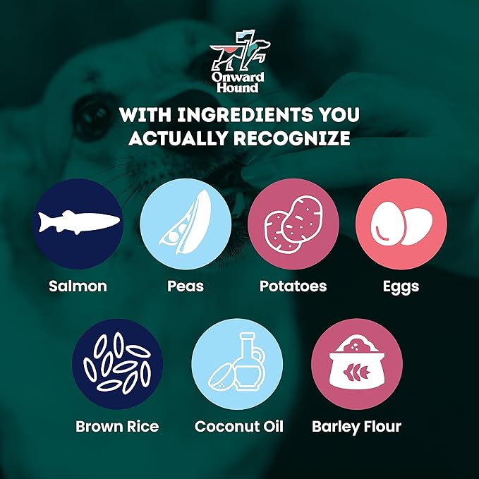 Training Treats for Dogs - Soft Salmon - Low Calorie Dog Training Treats for Sensitive Stomachs with Single Source Premium Protein, Corn Free, & Soy Free Formula - 10 oz