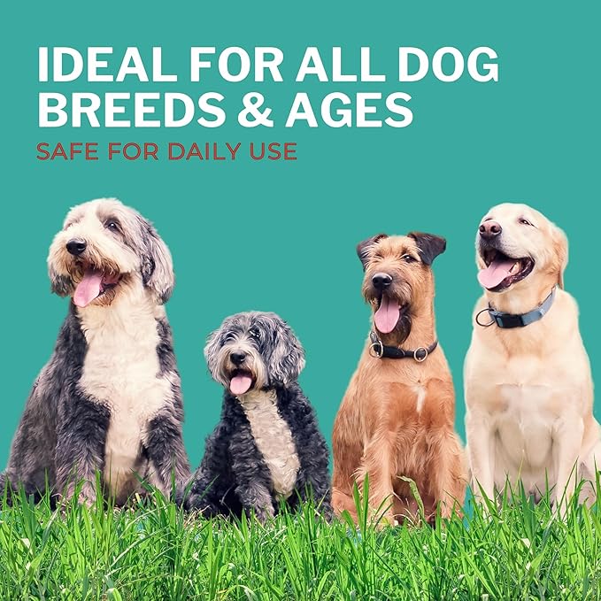 Shoo! Flea & Tick Spray for Dogs and Home | Plant Based, Natural Oils, Chemical Free Formula | Kills, Repels, Prevents | 16 oz (Woodland Harmony)