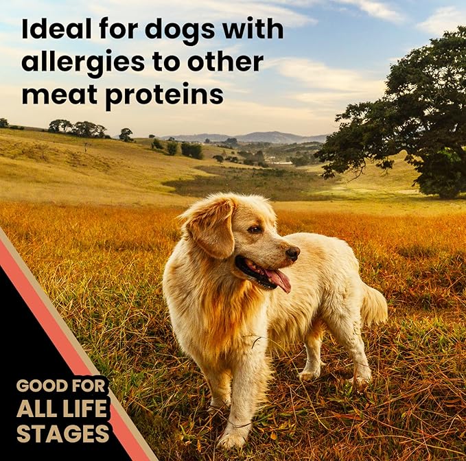 VICTOR Super Premium Dog Food – Grain Free Yukon River Canine – Supports Immune & Digestive Health for Dogs of All Life Stages – High Protein Dry Dog Food for All Normally Active Dogs, 5 lb