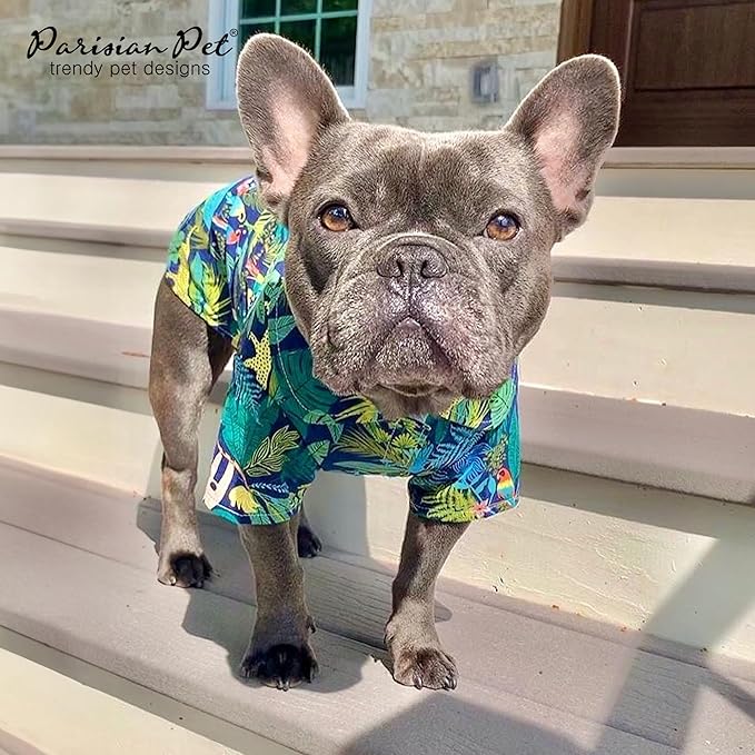 Parisian Pet Unisex Amazonia Shirt - Leafy Dog Beach Outfit - Cotton Summer Clothes - Stylish Hook and Loop Closure - Machine Washable for Medium-Sized Dogs - M
