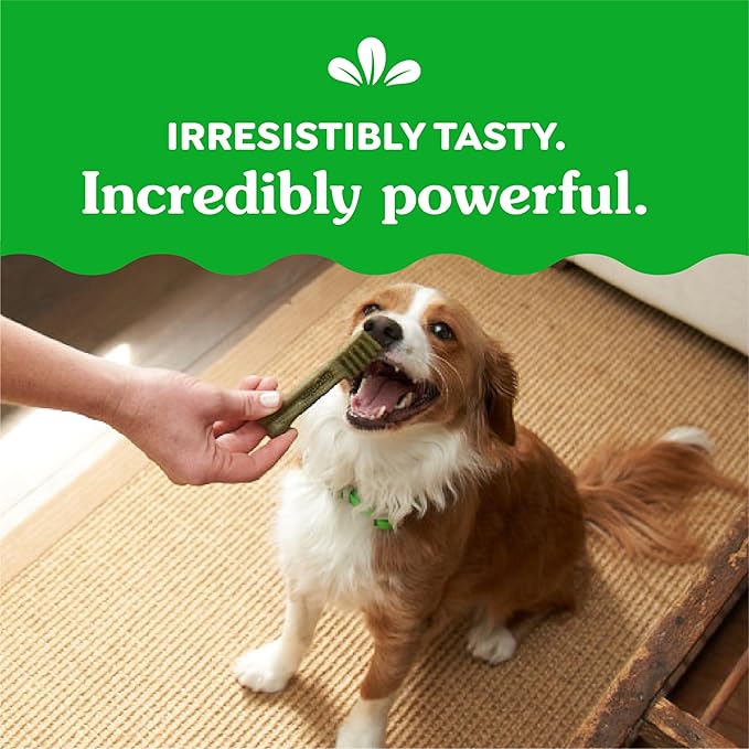 Greenies Petite Dental Dog Treats, Sweet Potato Flavor, 36 oz. Pack (60 Treats)