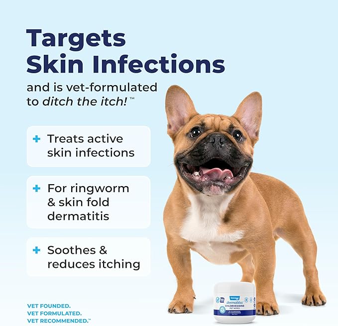Vetnique Dermabliss Chlorhexidine for Dogs Skin Health Antibacterial Wipes for Dogs for Infections, Irritation & Redness Relief (Skin Wipes, 50 Count)