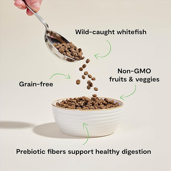 Open Farm Catch-Of-The-Season Whitefish Recipe Organic Sustainable Cat Food Net 4 LB