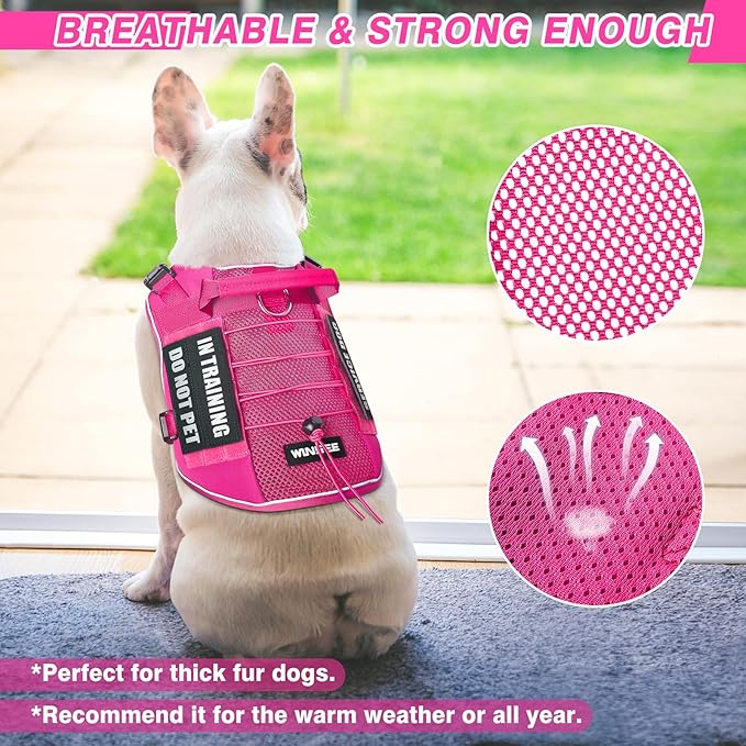 WINSEE Service Dog in Training Mesh Harness with 10 Pet Patches, Soft Air Mesh Breathable Tactical Dog Molle Vest, Reflective Military Pet Vest for Walking Hiking for Large Dogs