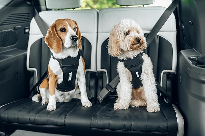 Thule Cappy Dog Harness L - Crash-Tested for Safety - Seatbelt passthrough - Adjustable & Easy to Clean - Padded Breathable mesh Panels - Leash Loop - Step-in Design