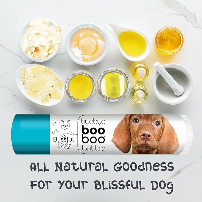The Blissful Dog .15 oz Tube Vizsla Booboo Butter