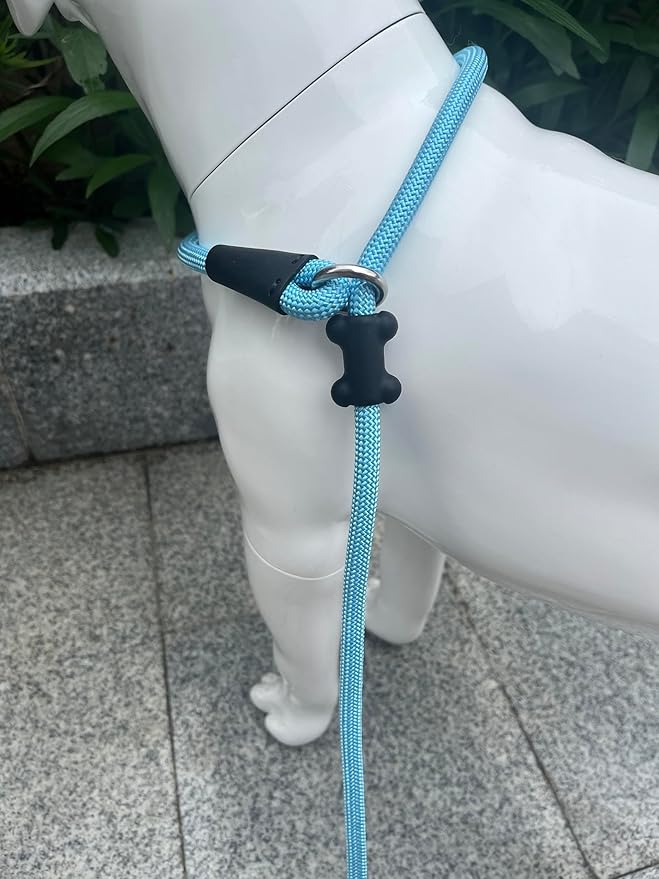 Slip Lead Dog Leash，Strong Nylon Rope Leash and Padded Handle,No Pull Outdoor Walking Training Lead for Small Medium Large Dogs (Light Bule,1/2"×4ft)