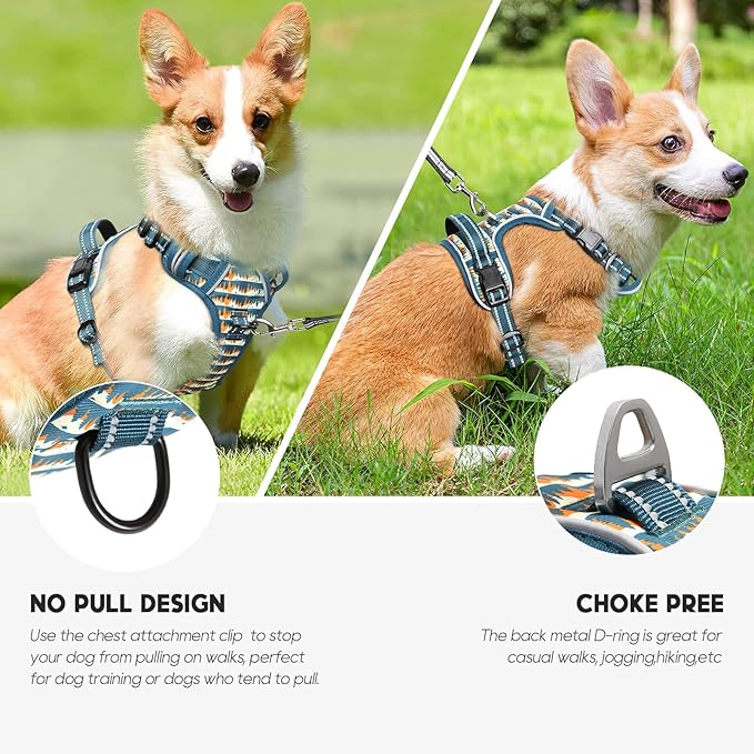 Timos Dog Harness, 3 Snap Buckles No-Pull Soft Padded Dog Vest with 2 Metal Leash Clips, Adjustable Reflective No Choke Pet Harness with Easy Control Handle for Small Dogs, Sunset Valley, S