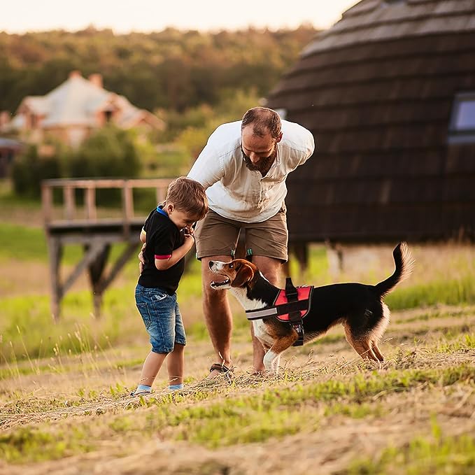 Dogline Dog Harness, Reflective No-Pull Adjustable Vest with Handle for Walking, Training, Service Breathable No - Choke Harness for Small, Medium or Large Dogs Room for Patches Girth 18 to 24 in Red