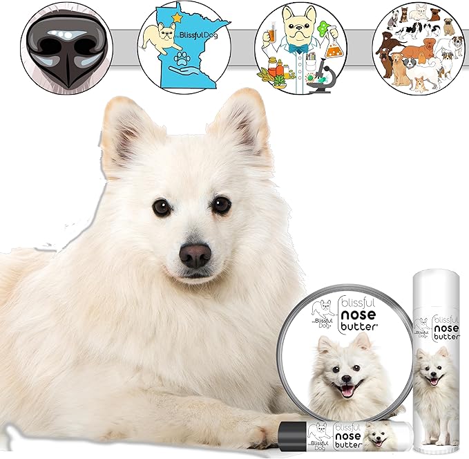 The Blissful Dog American Eskimo Nose Butter for Dry, Cracked Skin, Lick-Safe Dog Nose Balm with Moisturizing Shea Butter, Almond, Olive, and Essential Oils, Pet Supplies, Uncented, 2 oz.