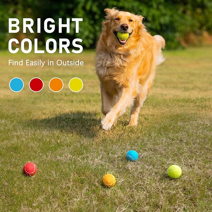 Prime Pets Tennis Balls for Dogs, 2.5 Inch Squeaky Dog Balls for Play & Fetch, Squeaky Tennis Balls for Medium, Large Dogs, Dog Toy Balls