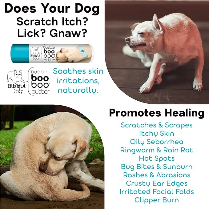 The Blissful Dog 4 oz TIN Cocker Spaniel Booboo Butter