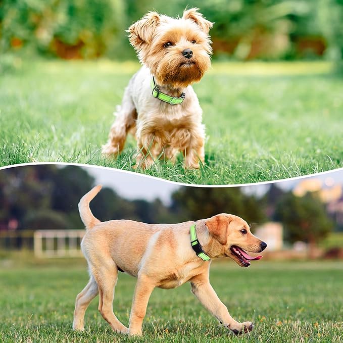 Reflective Dog Collar Padded with Soft Neoprene Breathable Quick Release Basic Dog Collars for Medium Dogs Green Boy Girl