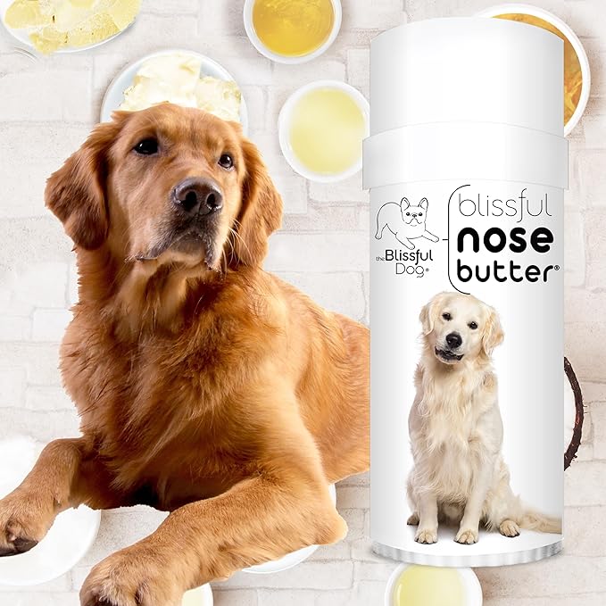 The Blissful Dog Golden Retreiver Unscented Nose Butter