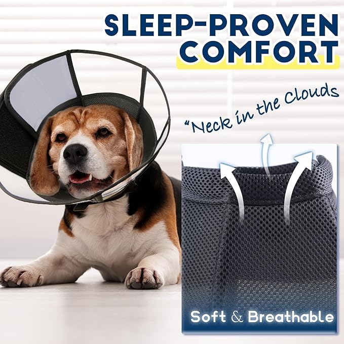 Soft Dog Cone Collar, Comfortable Pet Recovery Neck Collars After Surgery for Large Medium Dogs, Plastic Breathable Elizabethan Dog Head Circle Stop Licking, Adjustable Cones 25cm /10" Long (L Black)