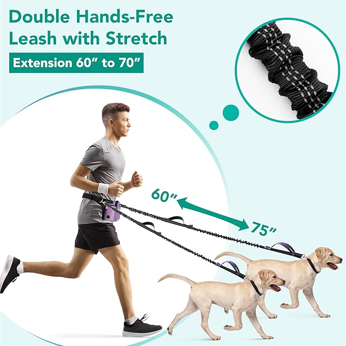 PetAmi Premium Hands Free Dog Leash for 2 Dogs, Adjustable Waist Belt Leash for Dog Walking, Fanny Pack Accessories Bag Dual Bungee Leash for Running, Hiking, Jogging, Biking, Purple