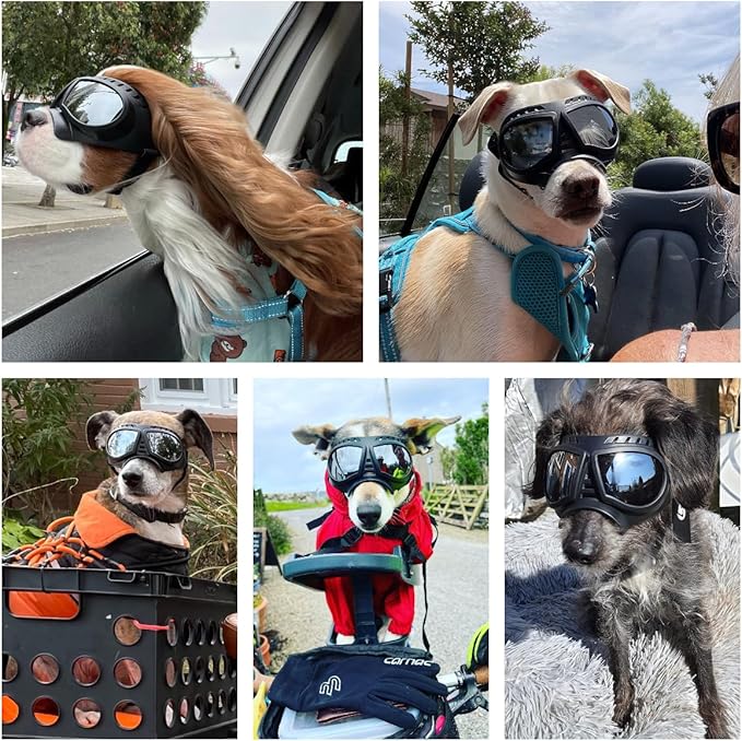 Small Dog Goggles Windproof for Small-Medium Breeds Dog Sunglasses Anti-UV with Adjustable Straps - Silver