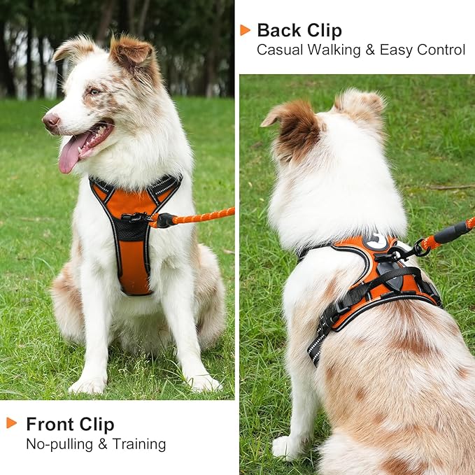 Taglory Light Up Dog Harness, Rechargeable No Pull Dog Vest with 3 Lightning Modes, Reflective Dog Harness with 2 Leash Clips & 4 Adjustable Slide Strips for Large Dogs, Orange-Orange, L