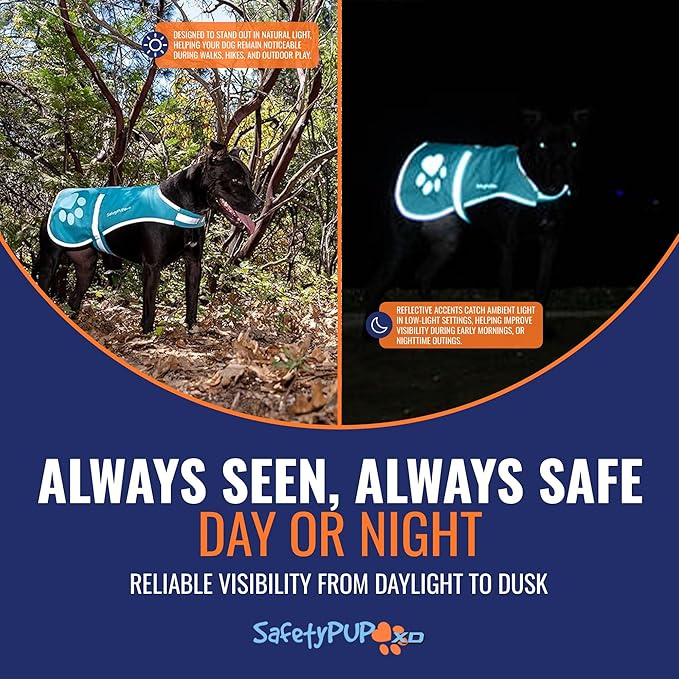 Dog Reflective Vest – Hi-Vis Fluorescent Visibility That Helps to Safeguard Your Pet On/Off Leash in Urban & Rural Areas (Teal, Medium)