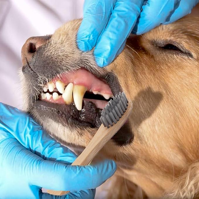 H&H Pets Bamboo Toothbrush Set for Dogs and Cats - Ultra Soft Bristles & Biodegradable Wooden Toothbrush, Puppy Supplies, Dog Dental Set, Eco-Friendly Pet Supplies (Large; 8-Count Pack)