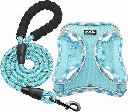 haapaw Dog Harness with Leash Set, No Pull Adjustable Reflective Step-in Puppy Harness with Thickened Padded Vest for Extra-Small/Small Medium Dogs