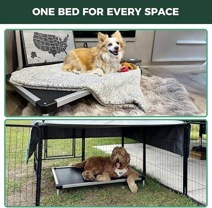 FXW TitanNest Chew-Proof Elevated Dog Bed, Raised Cot for Indoor/Outdoor/Camping Use, Durable & Waterproof Cooling Pet Bed for Medium Dogs, 42.0" L x 27.0" W x 5.0" H, Black