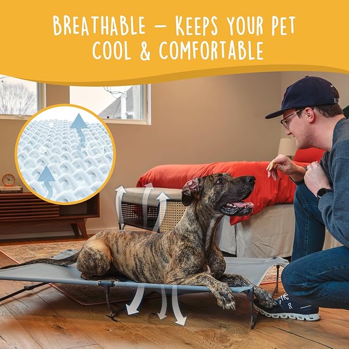 Daisy Cot, XL Foldable Elevated Dog Bed, Portable Raised Outdoor Folding Dog Cots, Cooling, Chew Proof, Waterproof, Heavy Duty Up to 160 lbs for Camping/Home, Grey, 49"x 33"x7"
