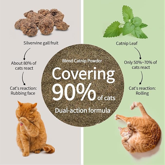 Catnip & Silvervine Powder – 15g Blend of Silver Vine Gall Fruit & Pure Catnip, Non-Addictive, Suitable for All Cat Ages, Multi-Play Use for Cat Toys, Scratchers & Protecting Furniture
