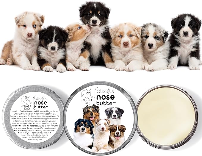 The Blissful Dog Australian Shepherd Unscented Nose Butter - Dog Nose Butter, 4 Ounce