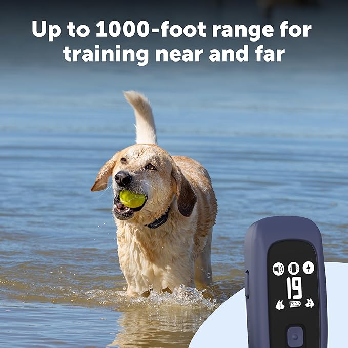 PetSafe Pro Dog Trainer with Remote – Waterproof Training Collar – 1000 ft Range – Tone, Vibration and 19 Levels of Static - Add-A-Dog Compatible – Sleek Remote Training Collar