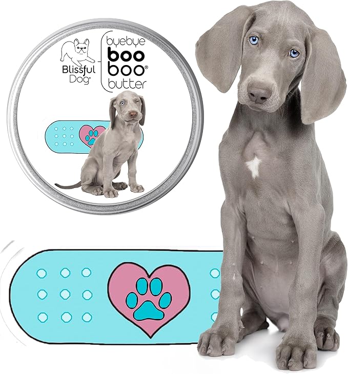 The Blissful Dog 2 oz TIN Weimaraner Booboo Butter
