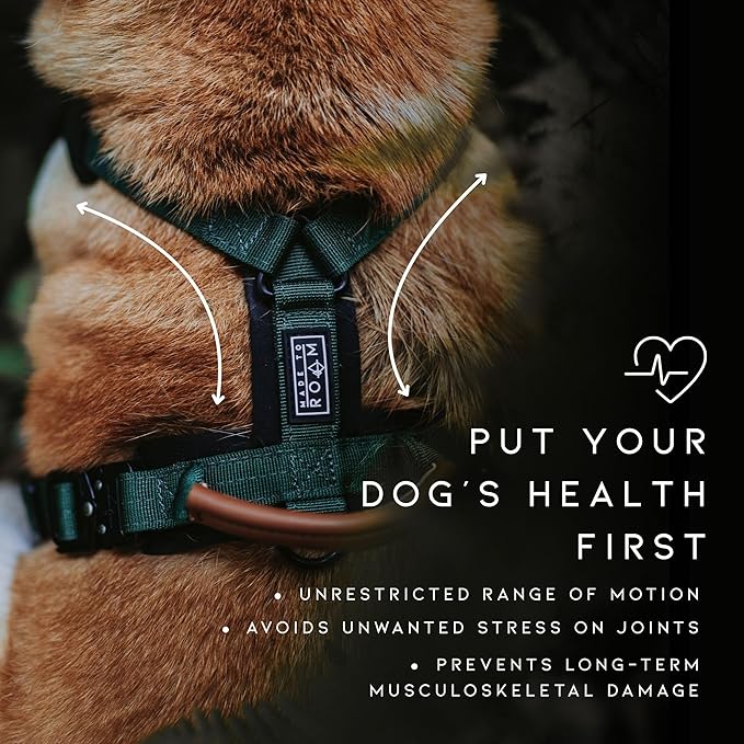 MADE TO ROAM Premium Explorer Harness - Y-Shaped Dog Harness with Adjustable Durable Nylon, Soft Padding, Metal Buckles and Leather Handle for Small, Medium, Large Dogs (Utah Glow, Size 5)