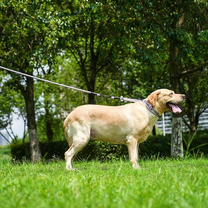 Rope Dog Leash, 4 ft Heavy Duty Dog Leash with Aviation Aluminum Auto Locking Carabiner, Strong Nylon Pet Lead for Small, Medium, Large Dogs (Black, 4FT)