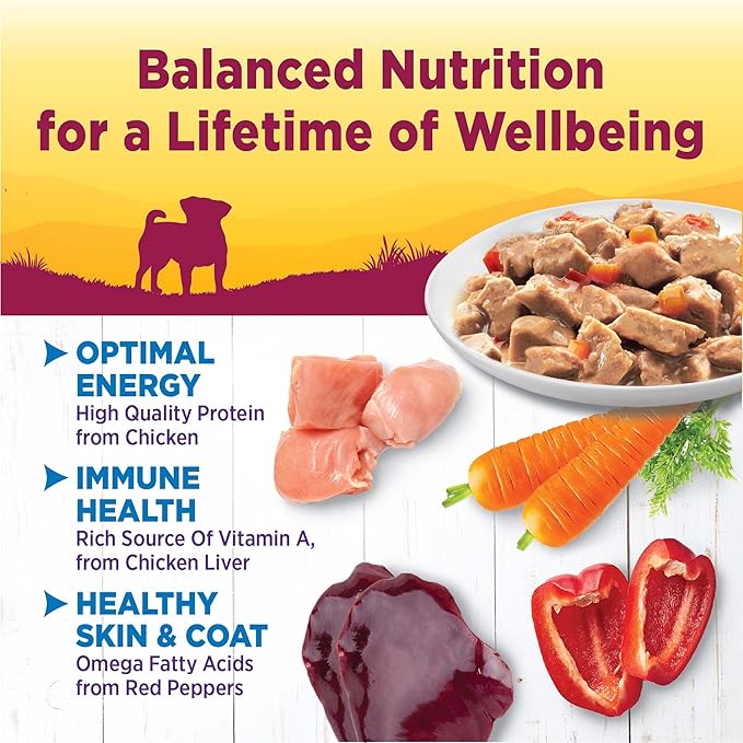 Wellness Petite Entrees Mini Fillets Grain Free Natural Wet Small Breed Dog Food, Roasted Chicken, Carrots & Red Peppers, 3-Ounce Cup (Pack of 24)