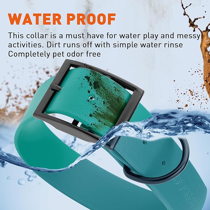 Dogline Biothane Waterproof Dog Collar Strong Coated Nylon Webbing with Black Hardware Odor- Proof for Easy Care Easy to Clean High Performance Fits Small Medium or Large Dogs, Blue Aqua