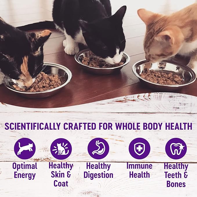 Wellness Healthly Indulgence Morsels Adult Wet Cat Food, Natural, Protein-Rich, Grain Free, 3 Ounce Pouch, 24 Pack, (Salmon & Tuna)