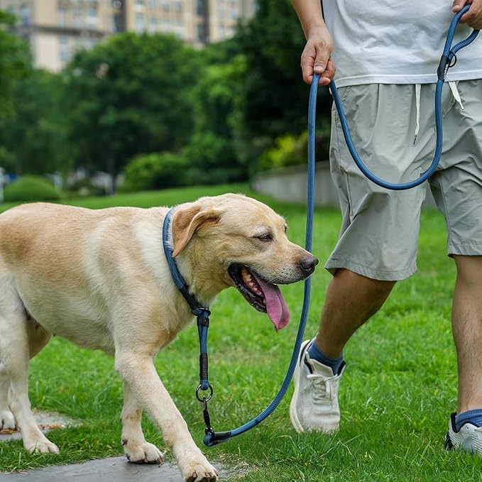 Rope Dog Leash with Two Handles, 6 Foot Heavy Duty Dog Leash with Aviation Aluminum Auto Locking Carabiner, Strong Nylon Pet Lead for Small, Medium, Large Dogs (Rose Red, 6FT-Two Handle)