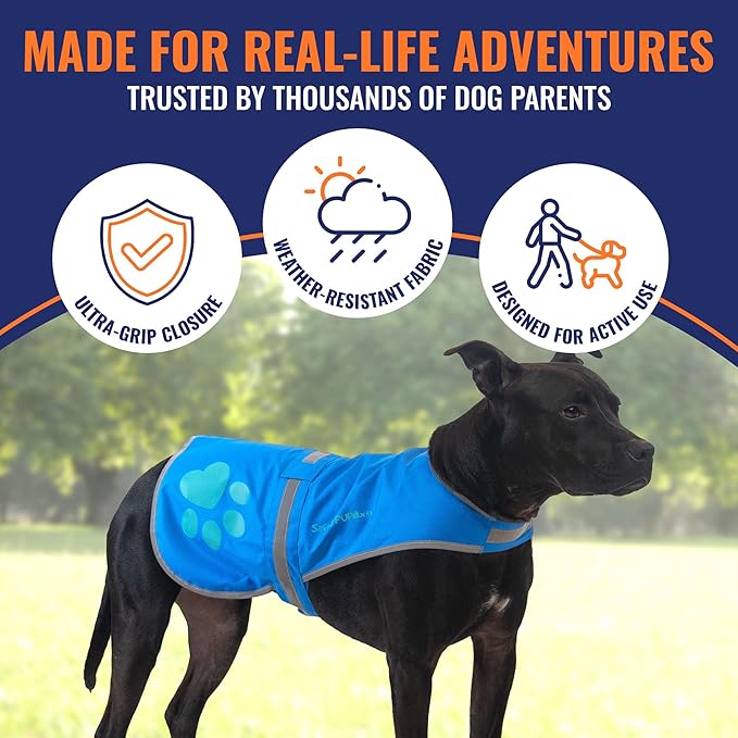 Dog Reflective Vest – Hi-Vis Fluorescent Visibility That Helps to Safeguard Your Pet On/Off Leash in Urban & Rural Areas (Blue, X-Small)