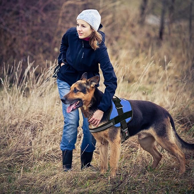 Dogline Dog Harness, Reflective No-Pull Adjustable Vest with Handle for Walking, Training, Breathable, No - Choke Harness for Small, Medium or Large Dogs Room for Patches Girth 22"-28" in Cyan Blue