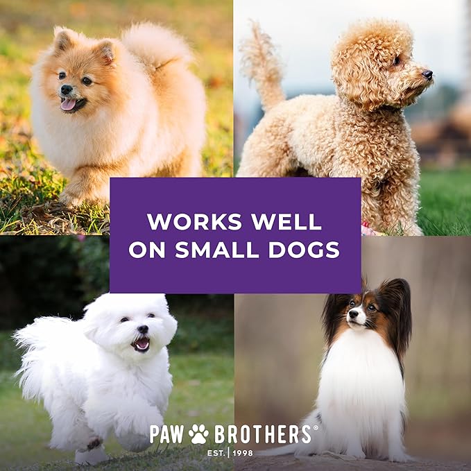 Ryan's Pet Supplies Paw Brothers Nail Clipper for Dogs and Cats, Pet Nail Clippers, Safe Grooming Tool, Professional Grade for Groomers, Stainless Steel Blades, Safety Guard, Small, 5 Inches