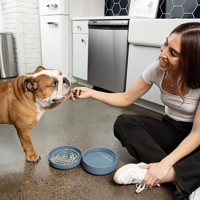 The Slowdown Bowl Silicone Slow Feeder for Dogs & Puppies, Slow Eating Modern Lick Mat Design, Reduces Gulping, Fits 2 Cups 7.5” Across x 1.5” Tall, Mealtime Challenge, Medium-Terracotta