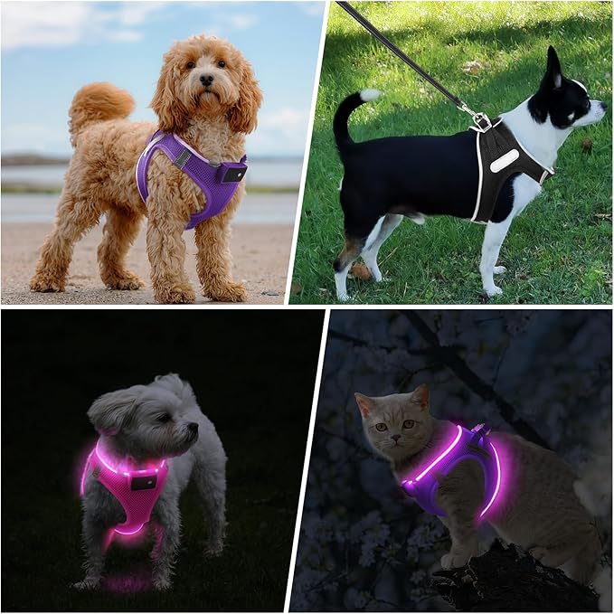 PceoTllar Light Up Dog Harness, LED No Pull Reflective Dog Harness, Flashing Lighted for Night Walking - Small/Medium, (Purple,M)
